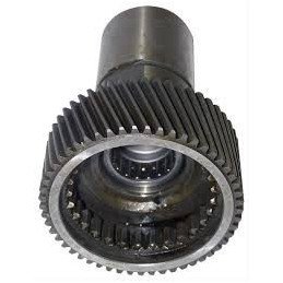 Pignon d'entrée , 53006085